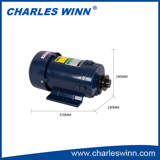 Anti-explosion 220V motor